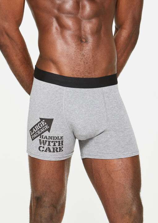 Large Package, Handle With Care Boxer image number 0.0