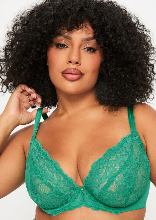 Sexy Lace Fuller Bust Non Padded Plunge Bra image number 0.0