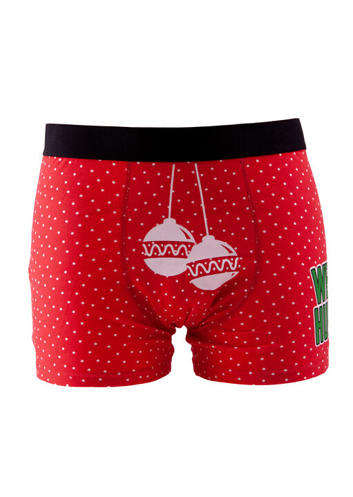 Well Hung Boxer image number 0.0