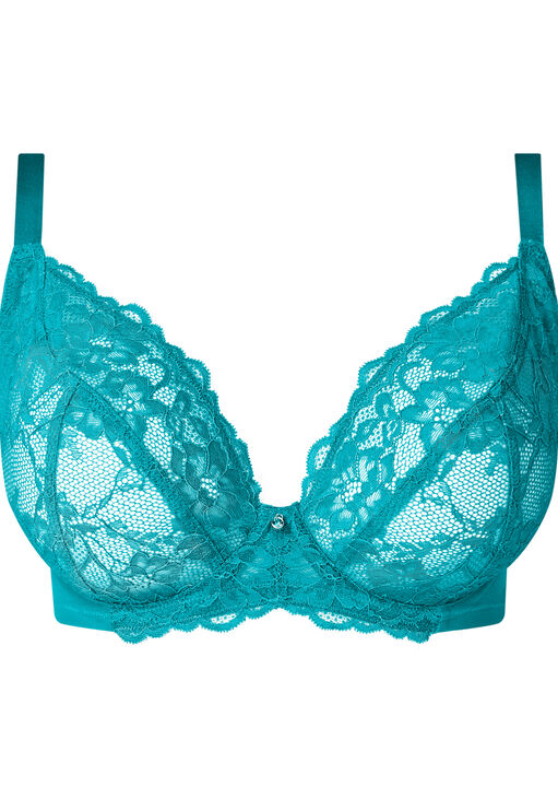 Sexy Lace Fuller Bust Non Padded Plunge Bra image number 5.0