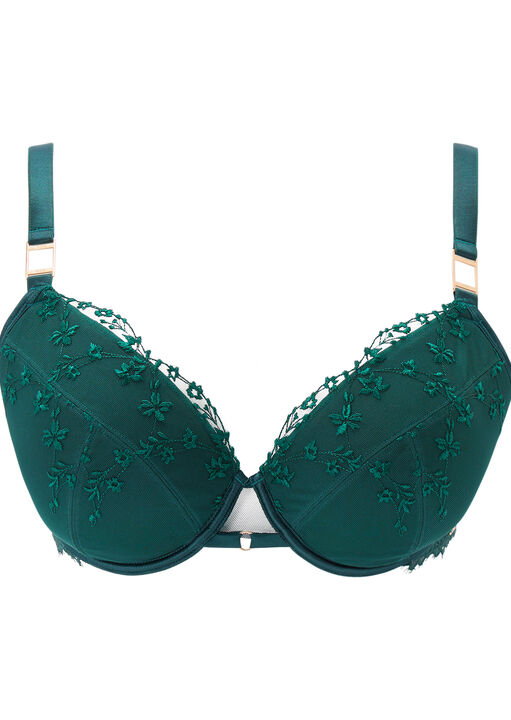 Knickerbox Hallie Embroidered Padded Plunge Bra image number 10.0