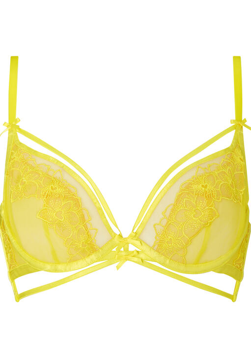 Floral Affair Non Padded Plunge Bra image number 5.0