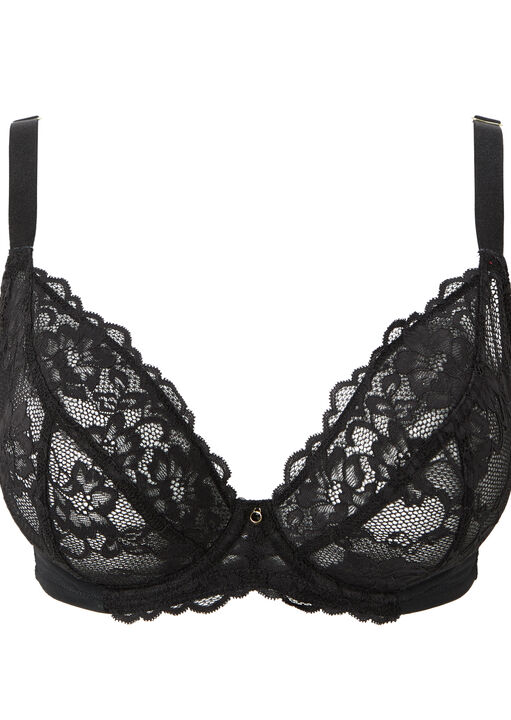 Sexy Lace Fuller Bust Non Padded Plunge Bra image number 4.0