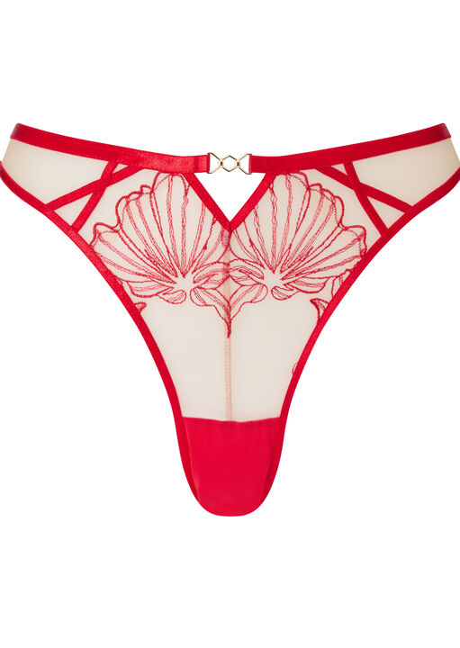 Incensing Brazilian image number 5.0