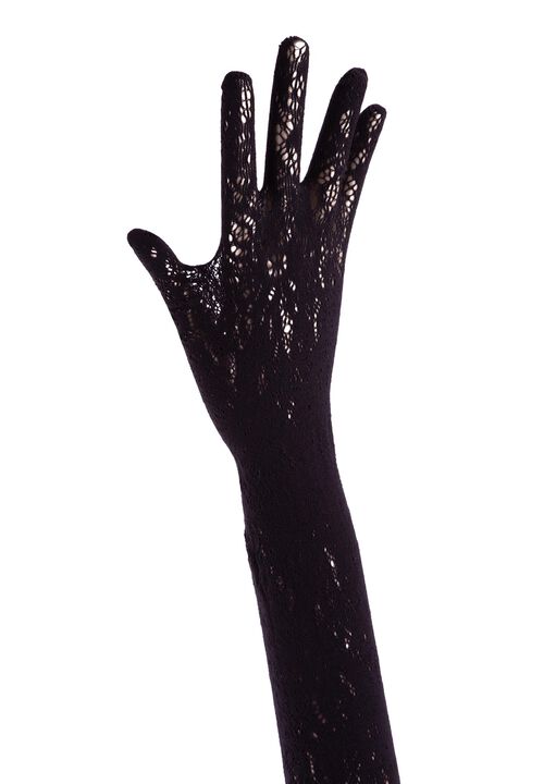 Long Lace Gloves image number 0.0
