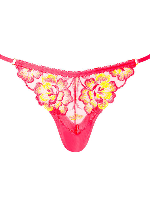 Tropical Oasis String image number 5.0