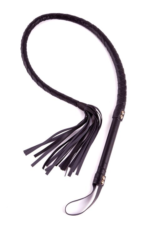 Signature Whip image number 0.0