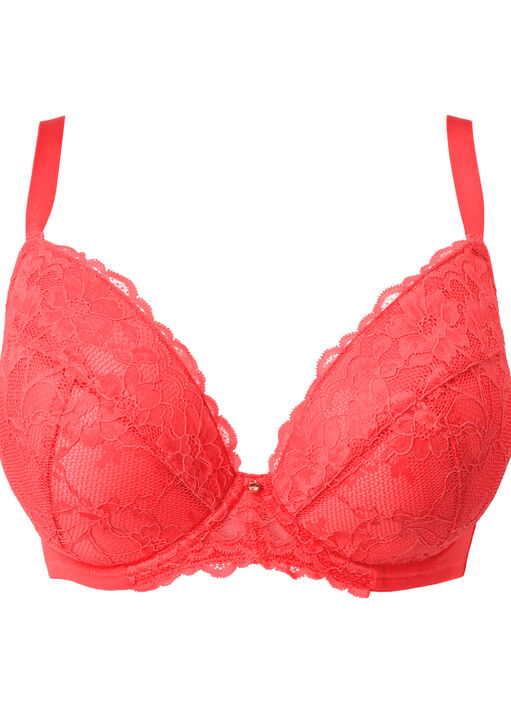 Sexy Lace Padded Plunge Bra image number 9.0