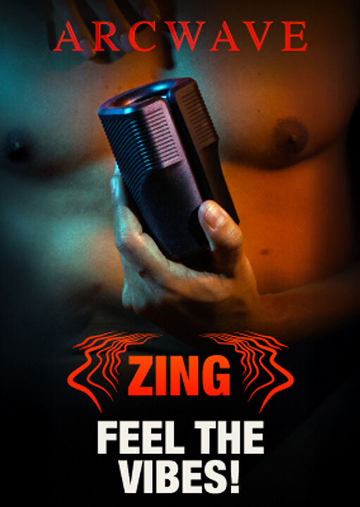 Arcwave Zing image number 10.0