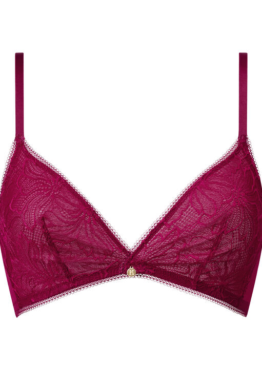 Alice Triangle Bralette image number 5.0