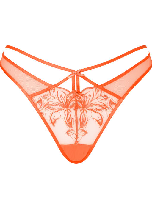 Tangerine Dream Brazilian Knickers image number 4.0