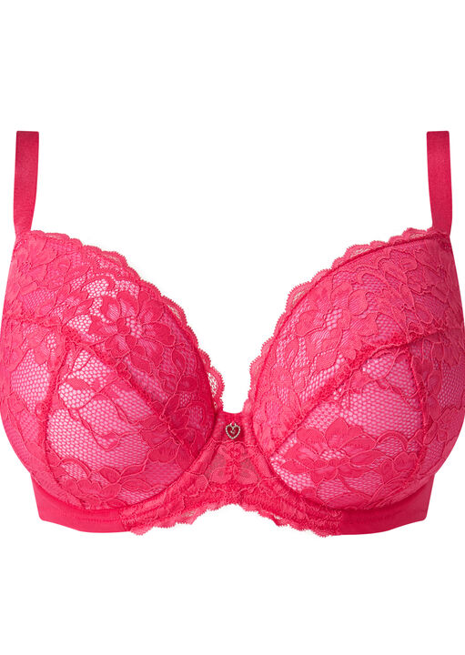 Sexy Lace Padded Plunge Bra image number 10.0