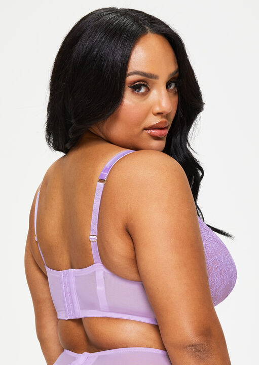 Blissful Fuller Bust Non Pad Plunge Bra image number 2.0