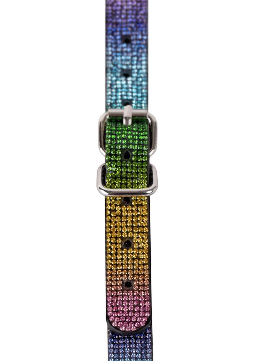 Rainbow Diamante Harness image number 6.0