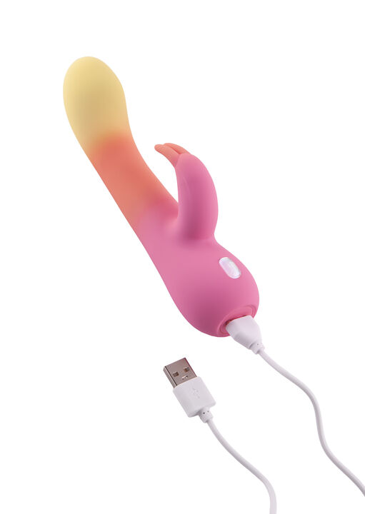 Ombre Silicone Rabbit image number 4.0