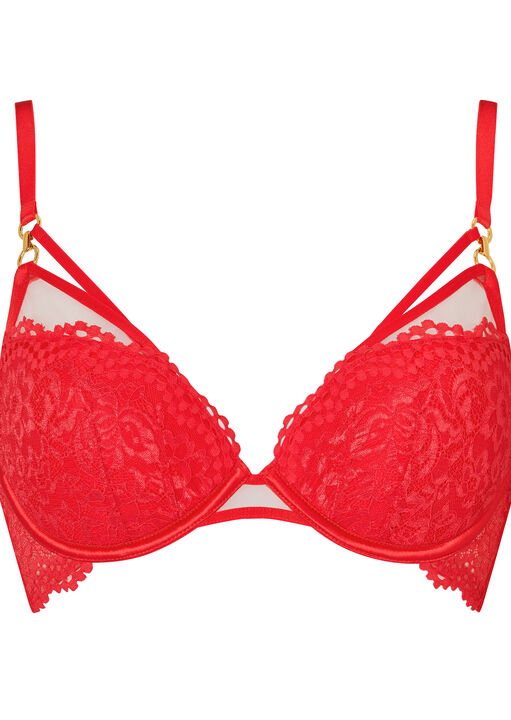 Lovers Lace Padded Plunge Bra image number 11.0