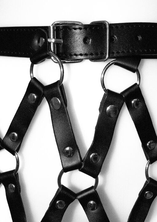 Caged Harness Skirt image number 3.0