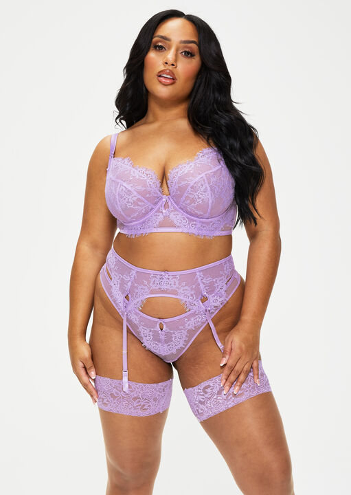 Blissful Fuller Bust Non Pad Plunge Bra image number 3.0