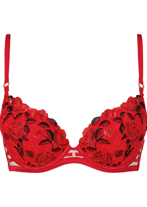 Everlasting Love Embroidered Padded Plunge Bra image number 4.0