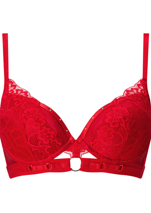 Undisputed Padded Plunge Bra image number 9.0