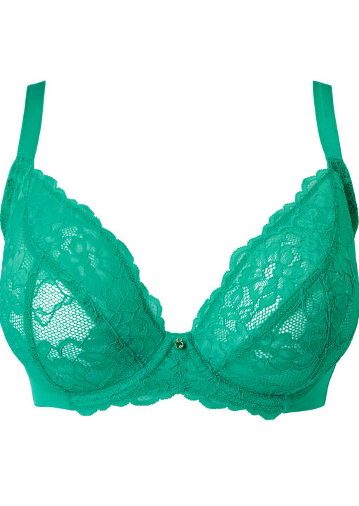Sexy Lace Fuller Bust Non Padded Plunge Bra image number 5.0