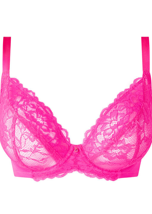 Sexy Lace Fuller Bust Non Padded Plunge Bra image number 5.0