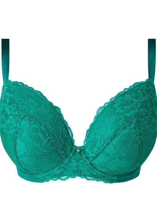 Sexy Lace Padded Plunge Bra image number 10.0