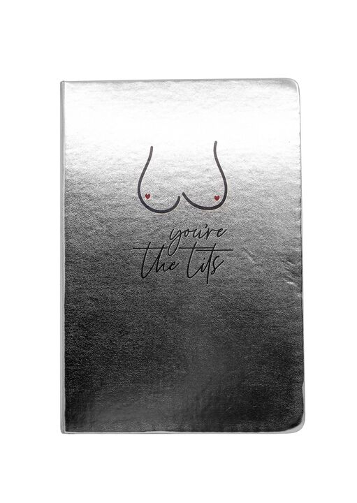 You're The Tits A5 Metallic NoteBook image number 0.0