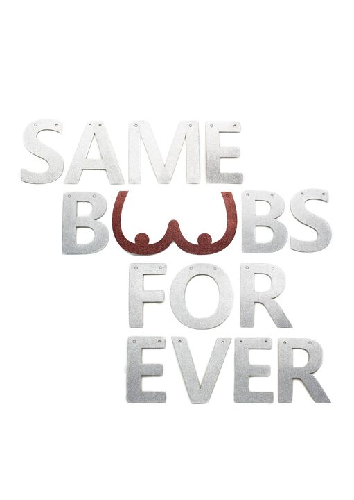 Same Boobs Forever Banner image number 0.0