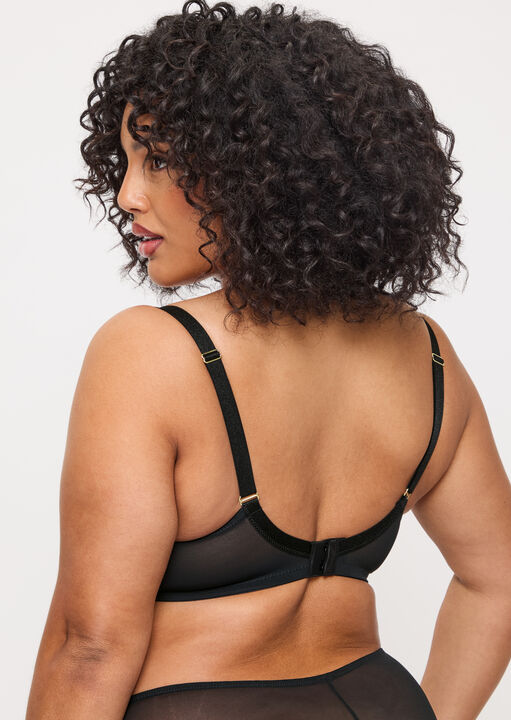 Sexy Lace Fuller Bust Non Padded Plunge Bra image number 4.0