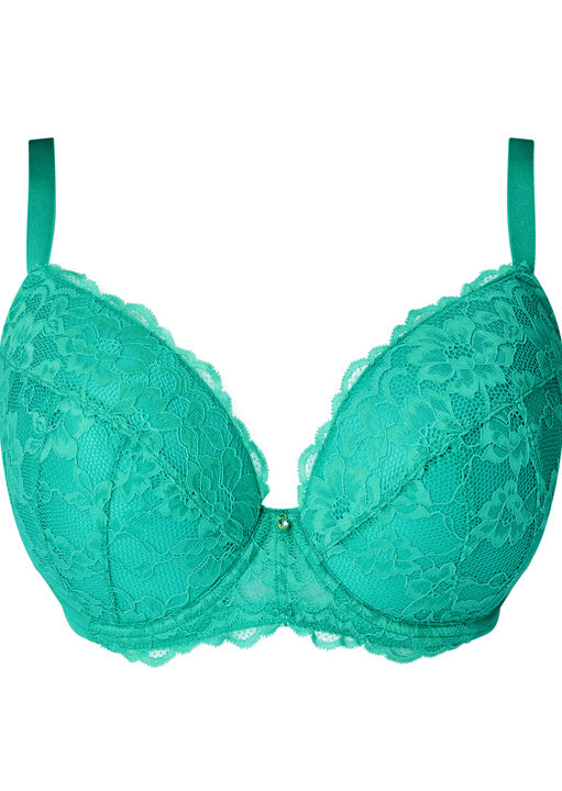 Sexy Lace Padded Plunge Bra image number 10.0