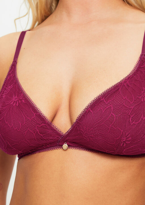 Knickerbox Alice Lace Triangle Bralette image number 4.0