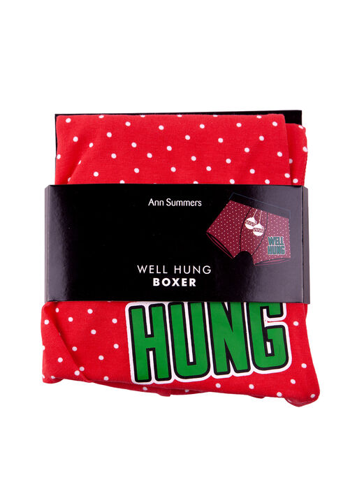 Well Hung Boxer image number 5.0