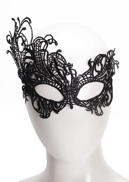 Guipure Lace Mask image number 0.0