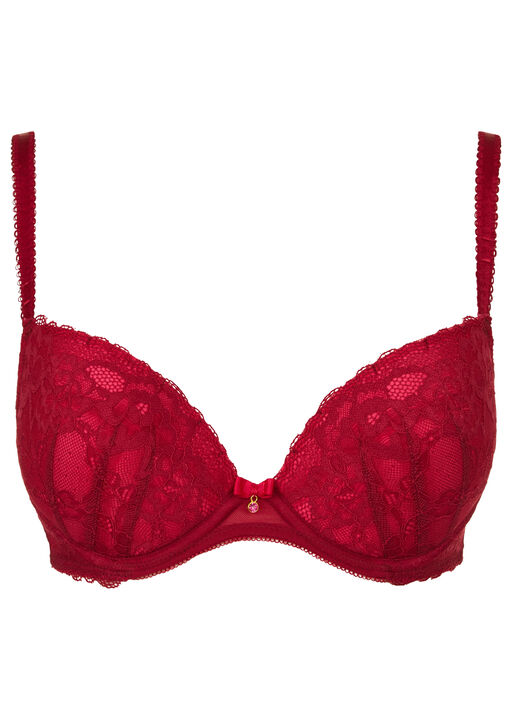 Sexy Lace Plunge Bra image number 4.0