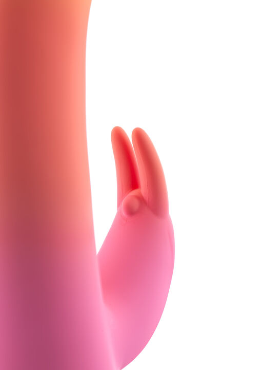 Ombre Silicone Rabbit image number 3.0
