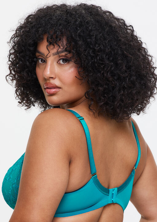 Sexy Lace Fuller Bust Non Padded Plunge Bra image number 3.0