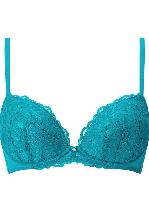 Sexy Lace Padded Plunge Bra image number 9.0