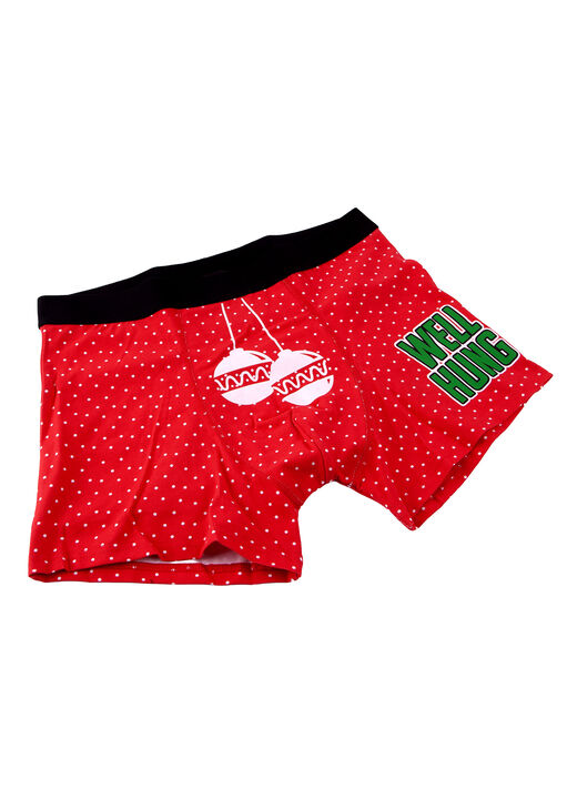 Well Hung Boxer image number 4.0