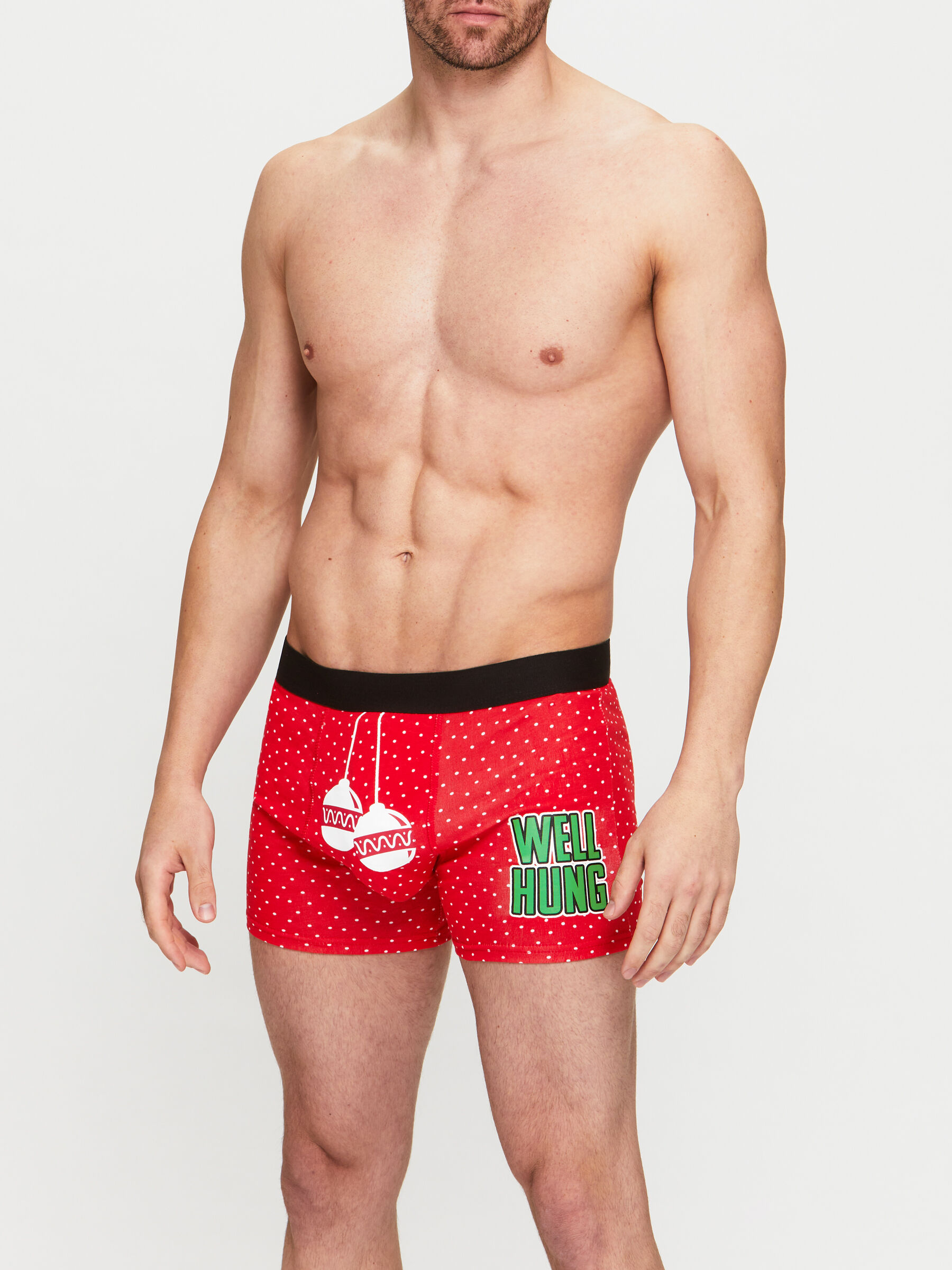 Well Hung Christmas Boxer Ann Summers