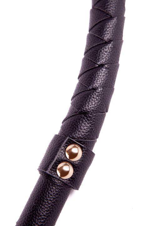 Signature Whip image number 2.0