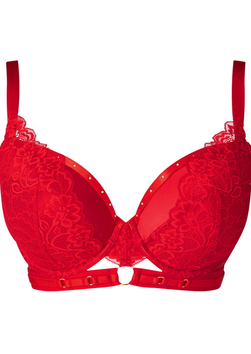 Undisputed Padded Plunge Bra image number 10.0