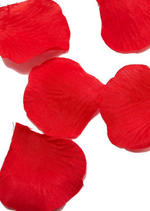 Bed Of Roses Petals Novelty Gift with Bag - Pack of 100 image number 1.0