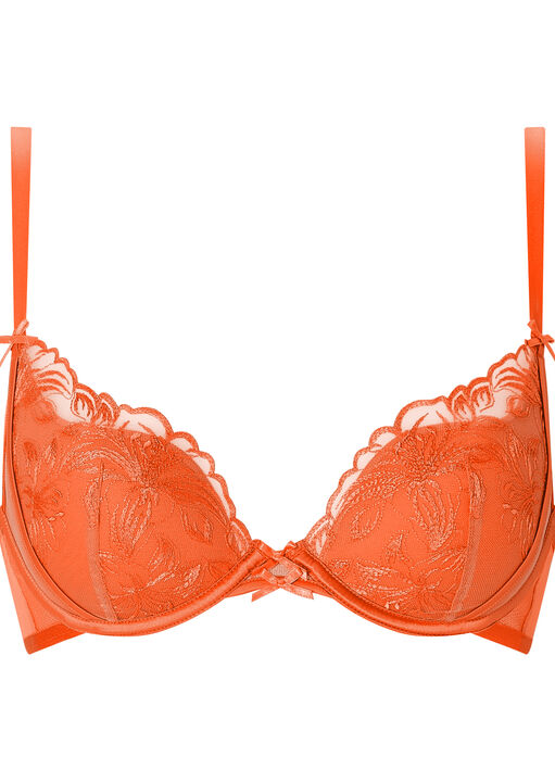 Tangerine Dream Padded Plunge Bra image number 4.0