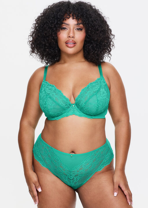 Sexy Lace Fuller Bust Non Padded Plunge Bra image number 3.0