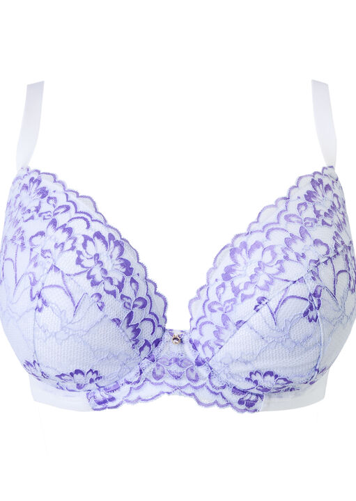 Sexy Lace Padded Plunge Bra image number 10.0