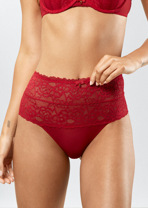 Sexy Lace High Waisted Brief image number 0.0