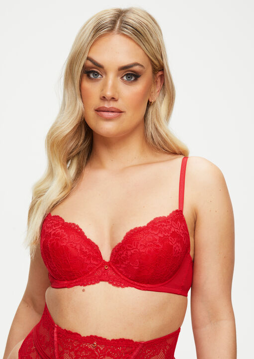 Sexy Lace Planet Padded Plunge Bra image number 3.0
