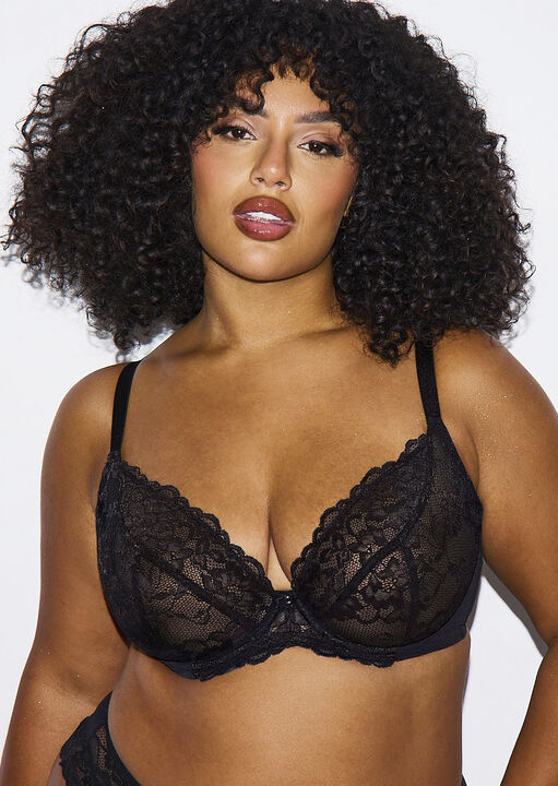 Sexy Lace Fuller Bust Non Padded Plunge Bra image number 0.0