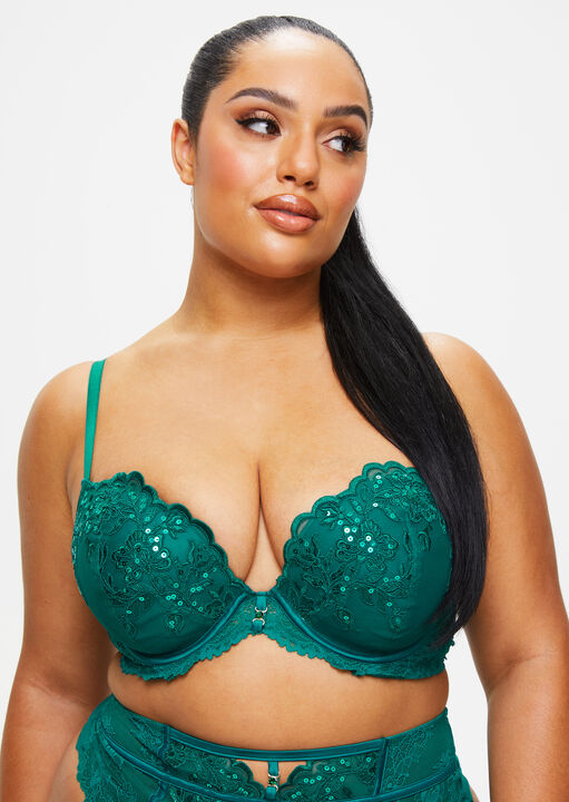 The Icon Fuller Bust Padded Plunge Bra image number 0.0
